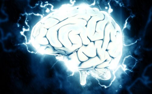 Elektroensefalografi (EEG)