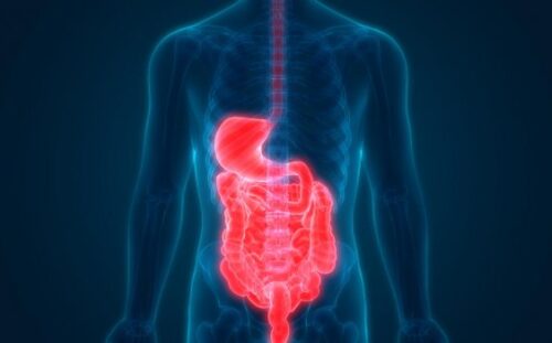 Endoskopi Nedir?